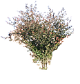 Klicka på bilden för större storlek

Namn:	        framk1_traed.png
Visningar:	299
Storlek:	555,8 kB
ID:     	40142