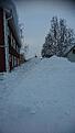 Klicka på bilden för större storlek

Namn:	        MSB 2018-02243-1 DSC_0413.JPG
Visningar:	330
Storlek:	3,16 MB
ID:     	56719